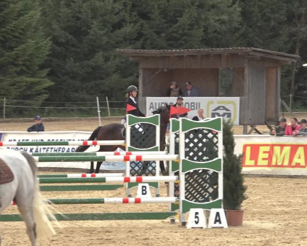 Reitturnier Ranshofen - Braunau am Inn 2023