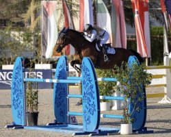jumper Vitto de Cartherey (unknown, 2009, from Rohan d'Uriat)