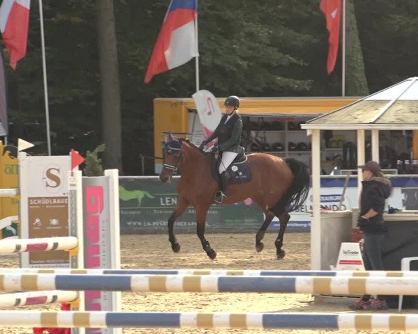 Reitturnier Ranshofen - Braunau am Inn 2023