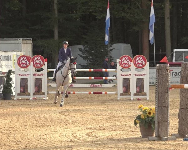 Reitturnier Ranshofen - Braunau am Inn 2023