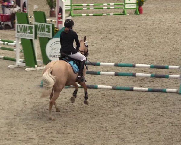 Reitturnier Sörup 2021