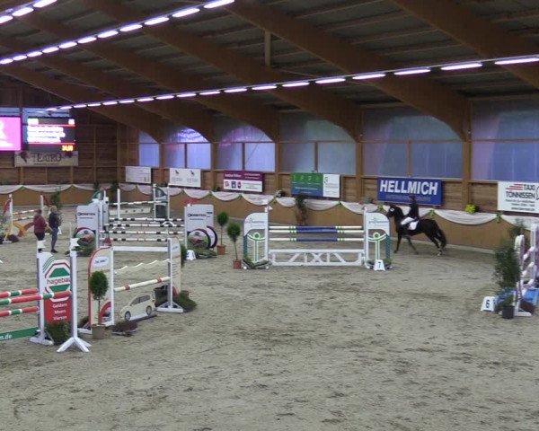 Reitturnier Xanten - Reitanlage Miss 2023