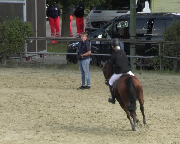 Reitturnier Kamen 2023