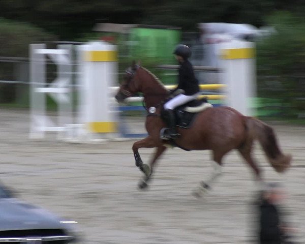 Reitturnier Kamen 2023