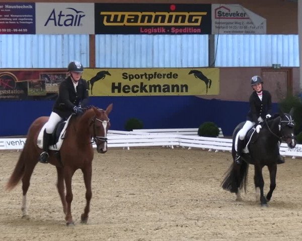 Reitturnier Isterberg 2023