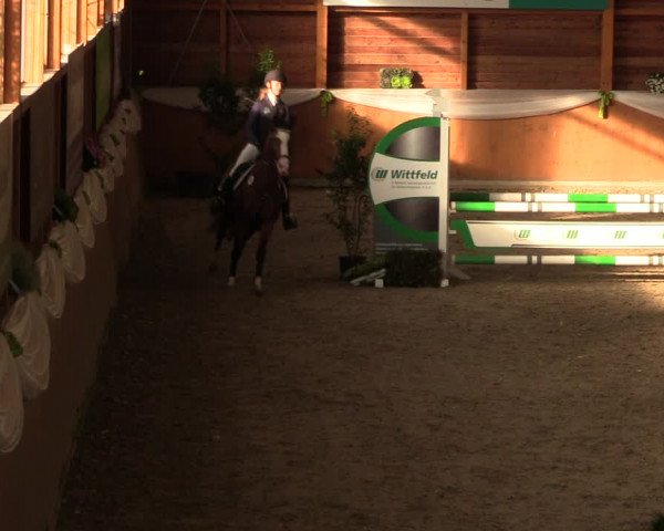 Reitturnier Xanten - Reitanlage Miss 2023
