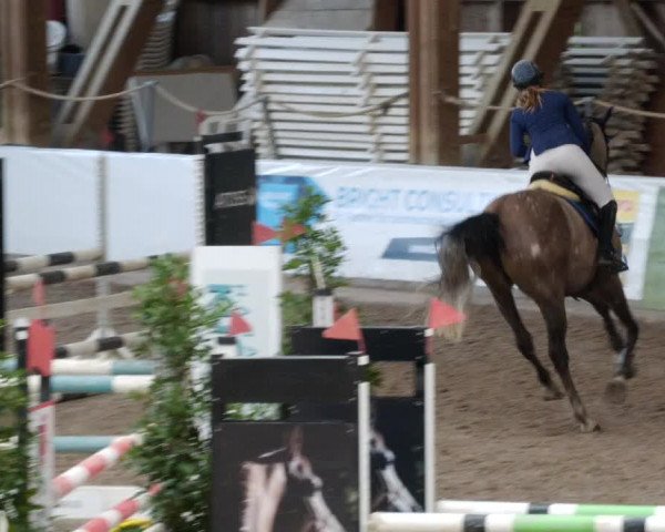 Reitturnier Böblingen 2023