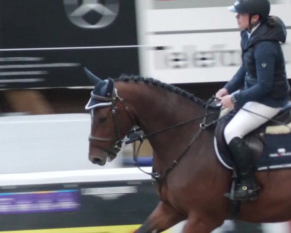 Reitturnier Böblingen 2023