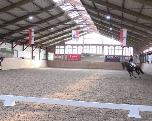 Reitturnier Elisenau 2023