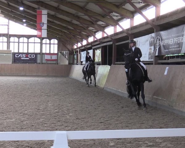 Reitturnier Elisenau 2023