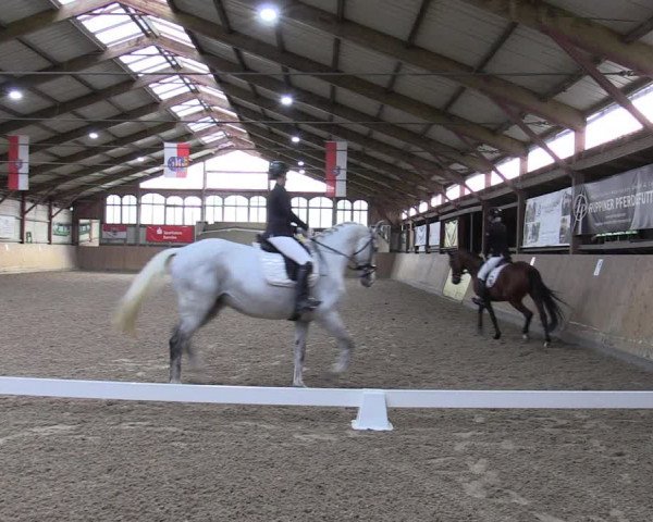 Reitturnier Elisenau 2023