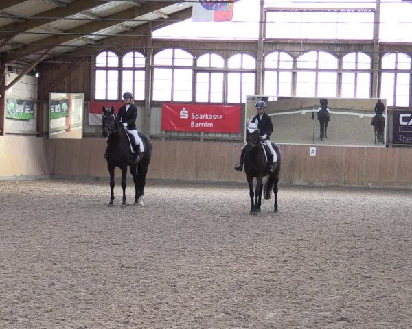 Reitturnier Elisenau 2023