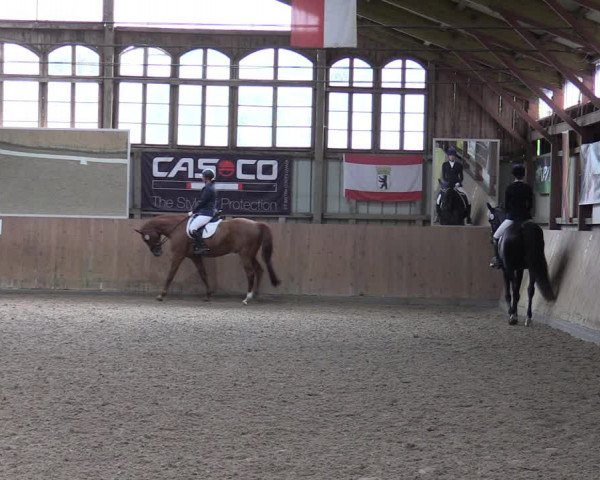 Reitturnier Elisenau 2023