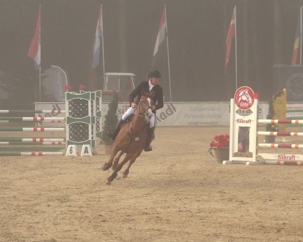 Reitturnier Ranshofen - Braunau am Inn 2023