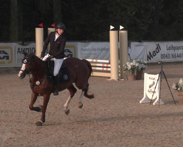 Reitturnier Ranshofen - Braunau am Inn 2023