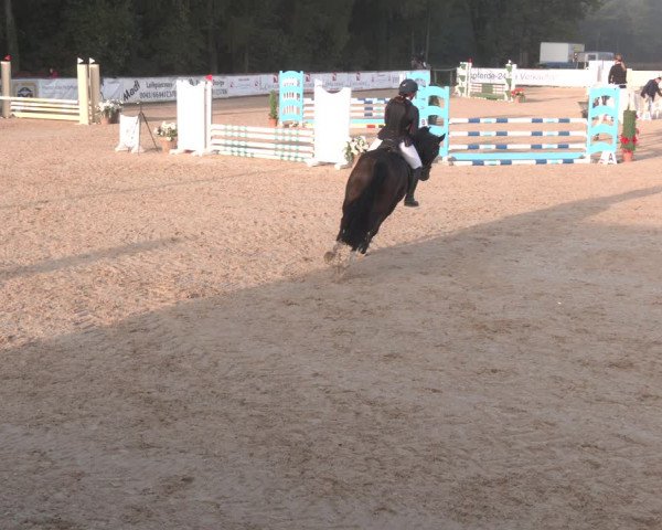 Reitturnier Ranshofen - Braunau am Inn 2023