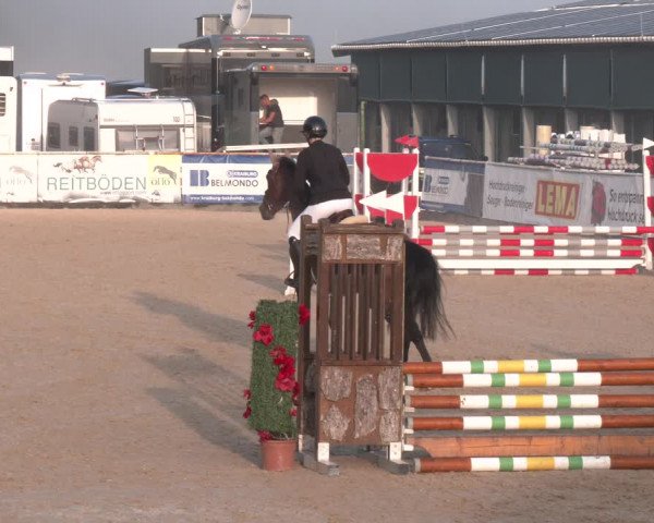 Reitturnier Ranshofen - Braunau am Inn 2023