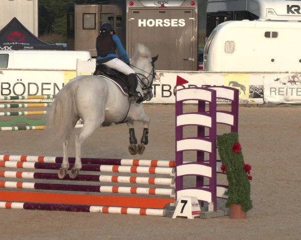 Reitturnier Ranshofen - Braunau am Inn 2023