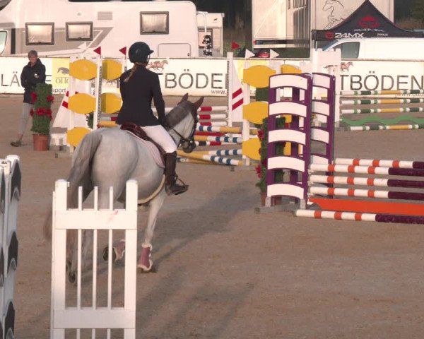 Reitturnier Ranshofen - Braunau am Inn 2023