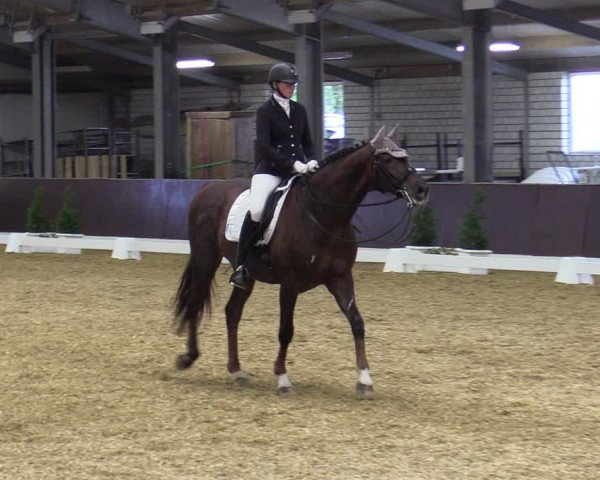 Reitturnier Bottrop-Kirchhellen 2023