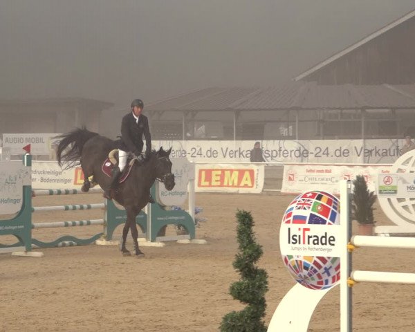 Reitturnier Ranshofen - Braunau am Inn 2023