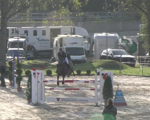 Reitturnier Basel/Schänzli 2023