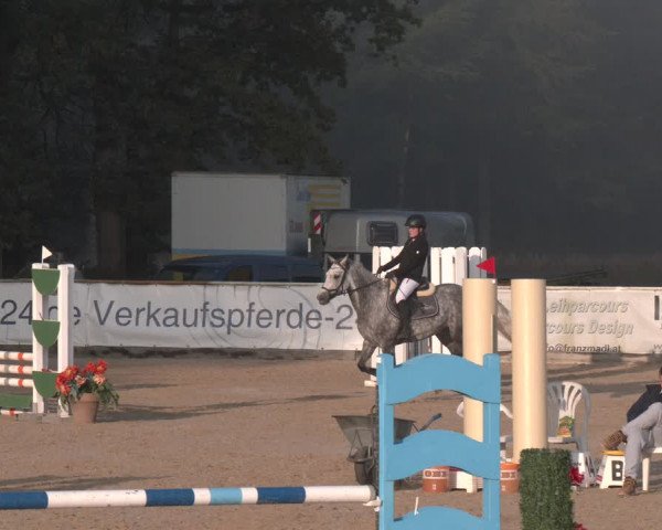 Reitturnier Ranshofen - Braunau am Inn 2023