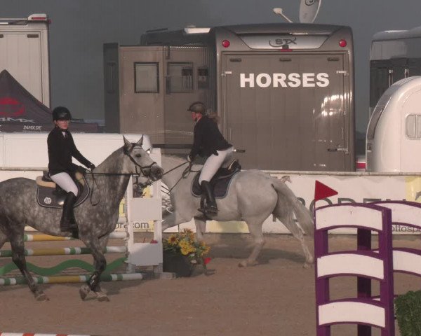 Reitturnier Ranshofen - Braunau am Inn 2023
