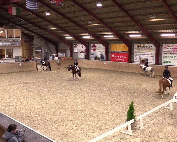 Reitturnier Behrendorf 2023