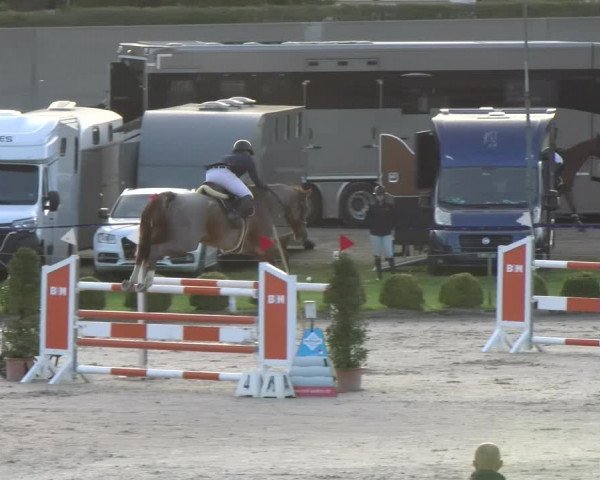 Reitturnier Basel/Schänzli 2023