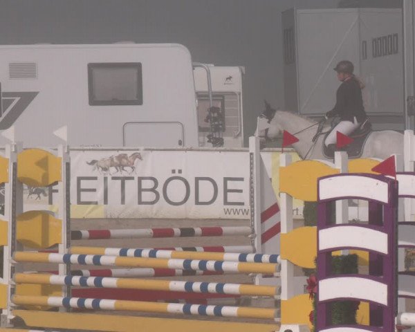Reitturnier Ranshofen - Braunau am Inn 2023