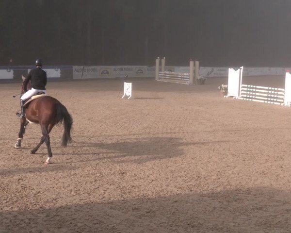 Reitturnier Ranshofen - Braunau am Inn 2023