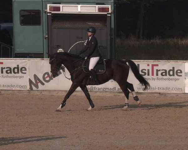 Reitturnier Ranshofen - Braunau am Inn 2023