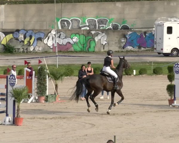 Reitturnier Basel/Schänzli 2023