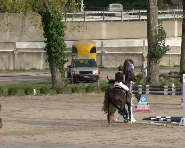 Reitturnier Basel/Schänzli 2023