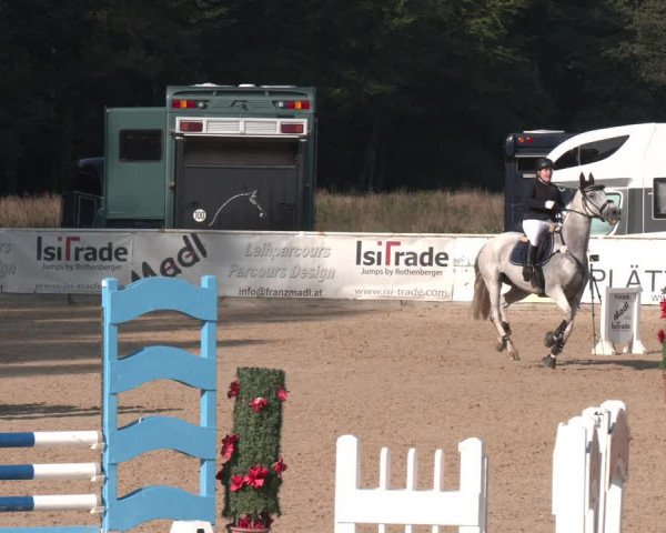 Reitturnier Ranshofen - Braunau am Inn 2023