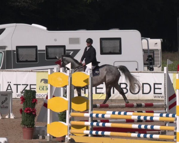 Reitturnier Ranshofen - Braunau am Inn 2023
