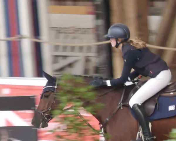 Reitturnier Böblingen 2023
