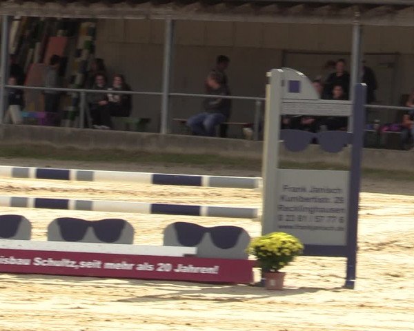 Reitturnier Dortmund-Barop 2021
