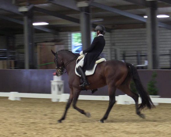 Reitturnier Bottrop-Kirchhellen 2023