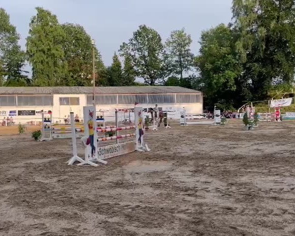 Reitturnier Laggenbeck 2023