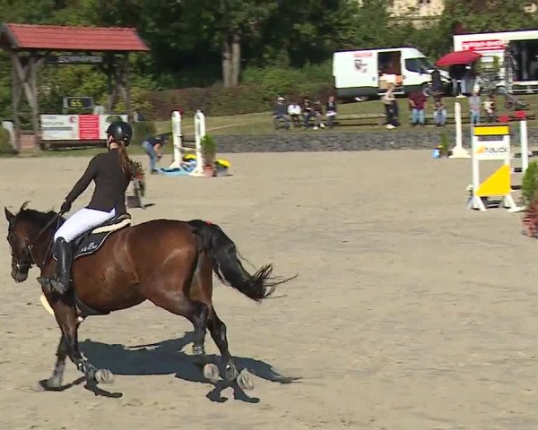 Reitturnier Frankenhof-Sonnefeld/Ofr. 2023