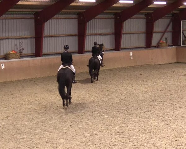 Reitturnier Behrendorf 2023