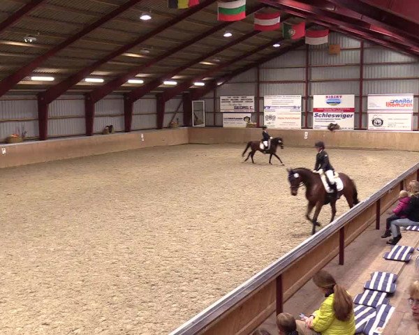 Reitturnier Behrendorf 2023