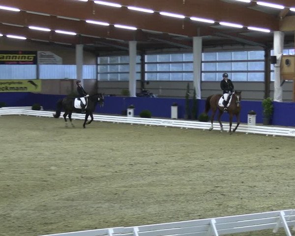 Reitturnier Isterberg 2023