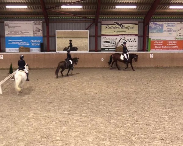 Reitturnier Behrendorf 2023