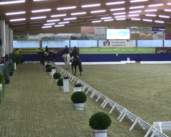 Reitturnier Isterberg 2023