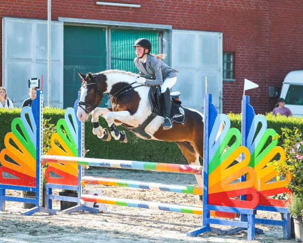 jumper Adriana 66 (unknown, 2016)