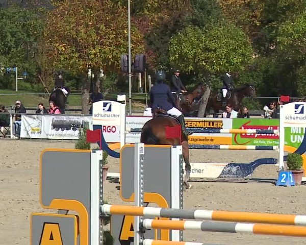 Reitturnier Frankenhof-Sonnefeld/Ofr. 2023
