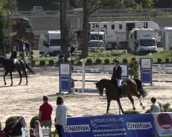 Reitturnier Basel/Schänzli 2023